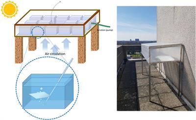Not Only Diamonds Are Forever: Degradation of Plastic Films in a Simulated Marine Environment